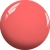 CY19 Powder Room Pink 2.webp