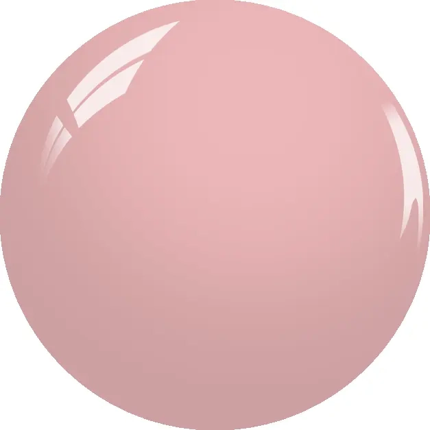 dr501.webp