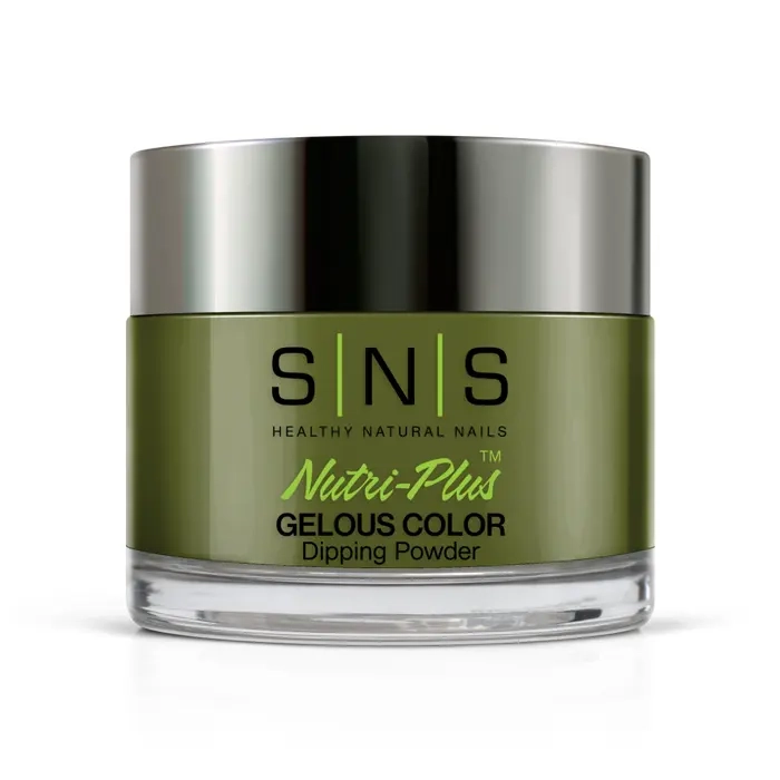 CY16 Olive New York 1.webp