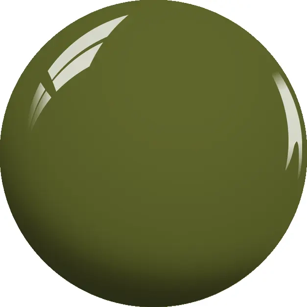 CY16 Olive New York 2.webp