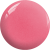 BD13.png