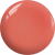 BD16.png