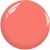 dot_ee18_1.webp