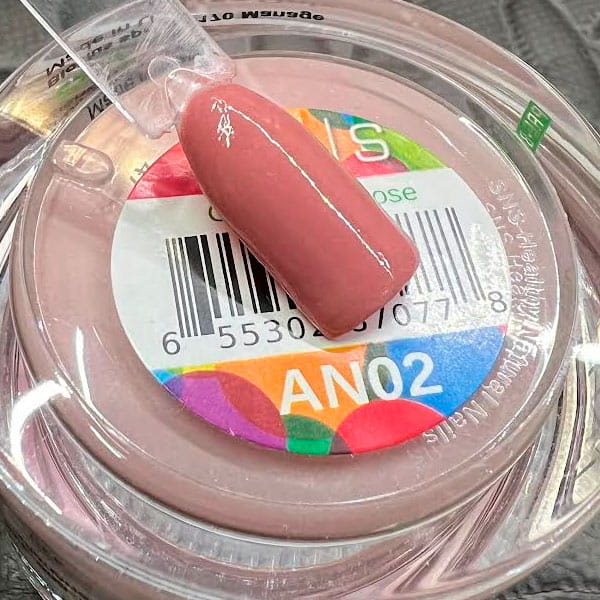 AN2.jpg