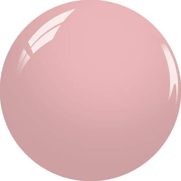 dr501.webp