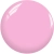 cs101.webp