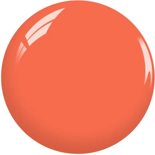 cs501.webp