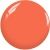 cs501.webp
