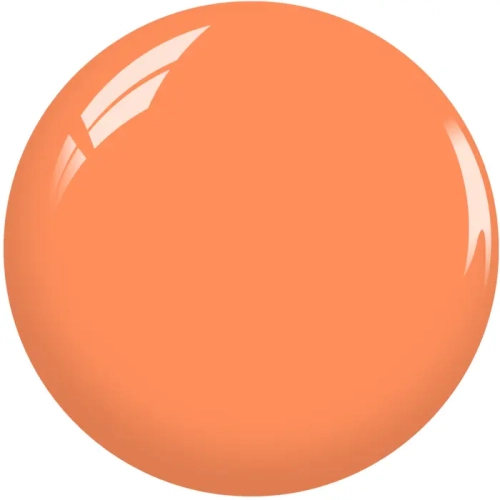 cs1301.webp
