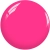 cs2101.webp