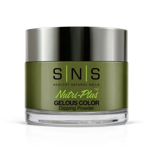 CY16 Olive New York 1.webp