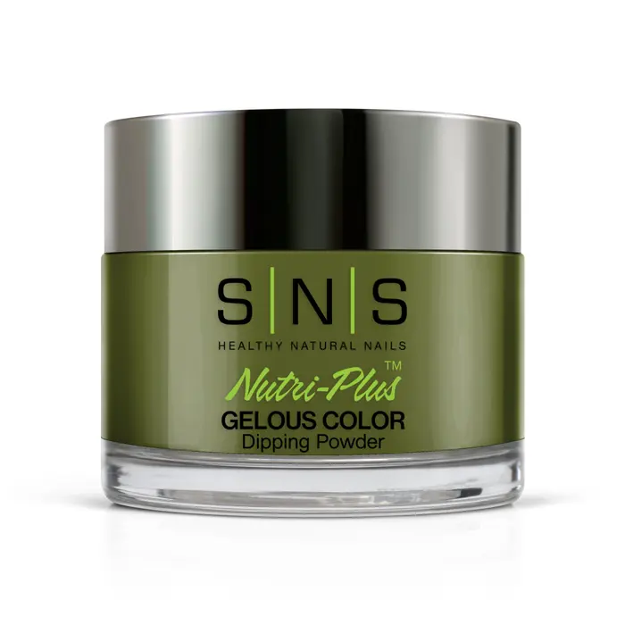 CY16 Olive New York 1.webp