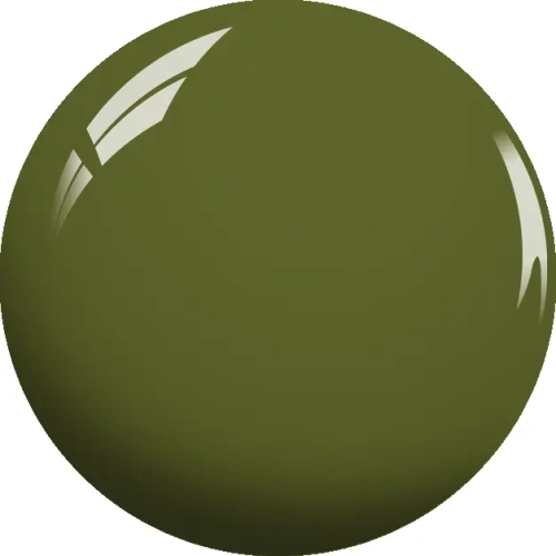 CY16 Olive New York 2.webp