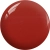 BP01a.webp