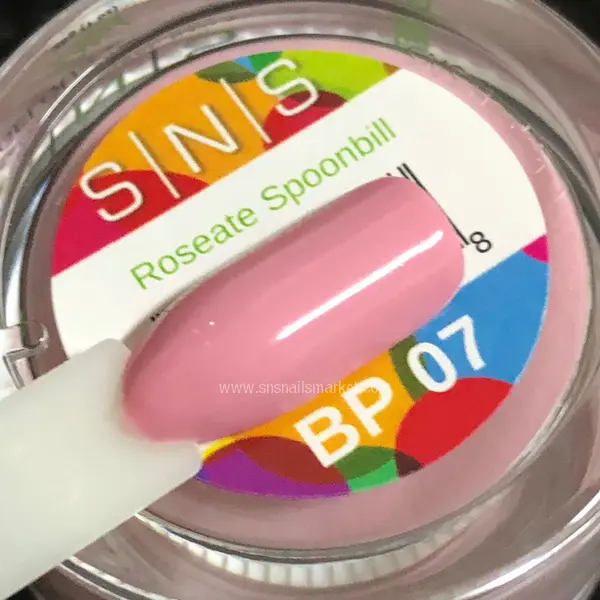 BP07b.webp