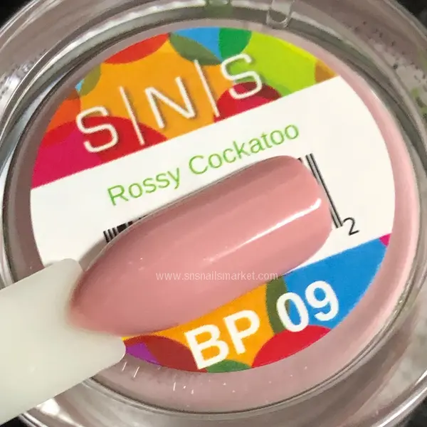 BP09c.webp