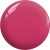 BP11a.webp