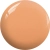 BP13a.webp