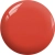 BP15a.webp