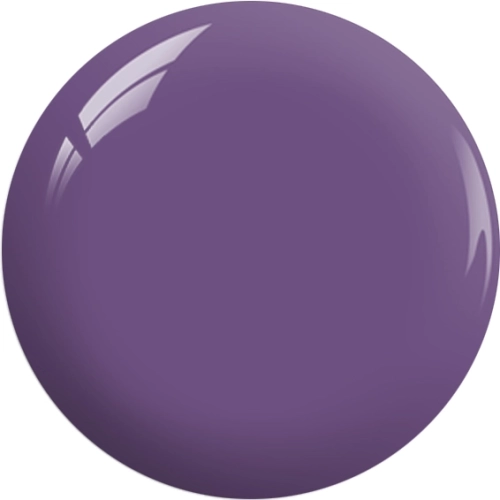 BP17a.webp