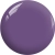 BP17a.webp