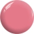 BP21a.webp