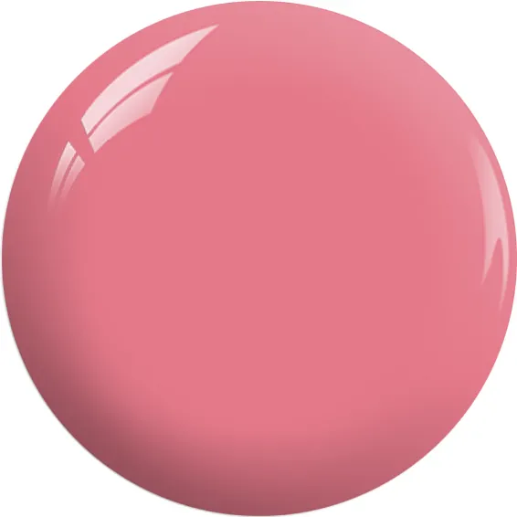 BP21a.webp