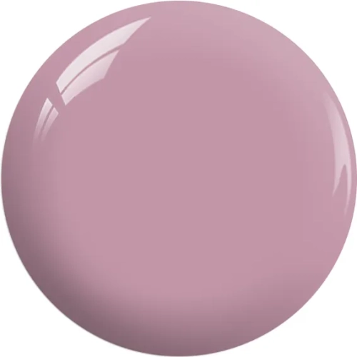 BP23a.webp