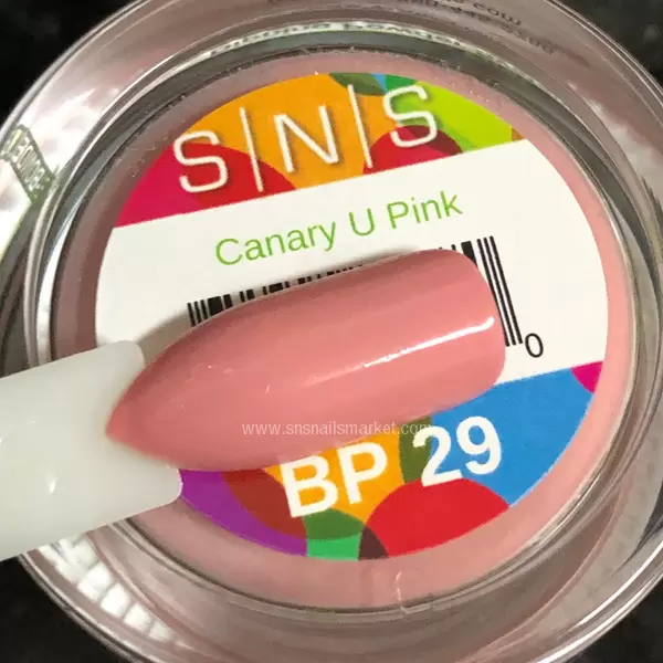 BP29c.webp