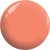BOS05a.webp