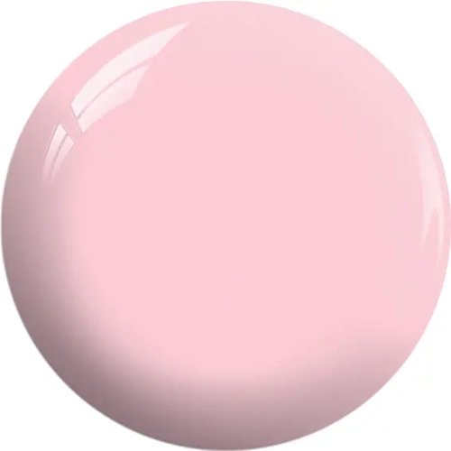 BOS12a.webp