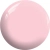 BOS12a.webp
