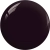BOS13a.webp
