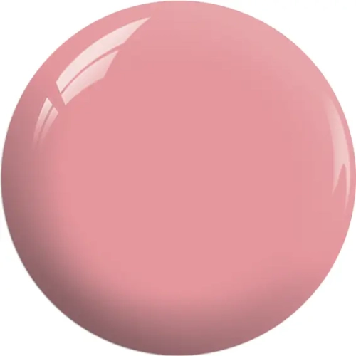 BOS15a.webp
