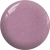 BOS17a.webp