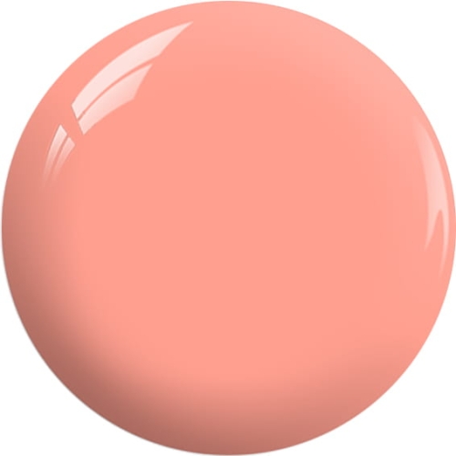 DW14-copy.jpg