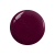 an01_b_2.png