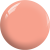 BD02.png