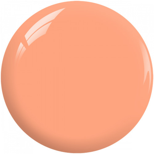 sy17_2.png