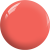 BD06.png