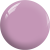 BD12.png